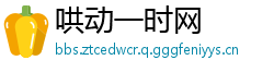 哄动一时网